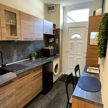 Tarsashazi Lakas Budapesten Koezel Mindenhez ブダペスト